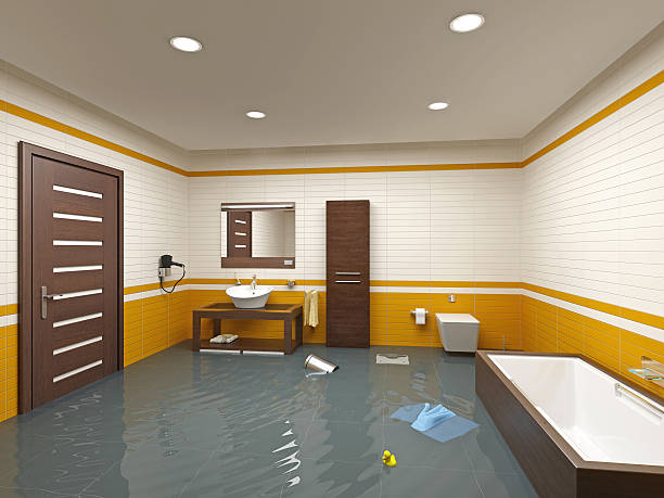 Best Flood Cleanup and Water Removal in Northport, NY